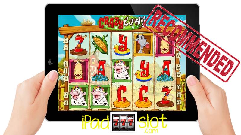 Crazy Cows iPad Slot Game Free Preview
