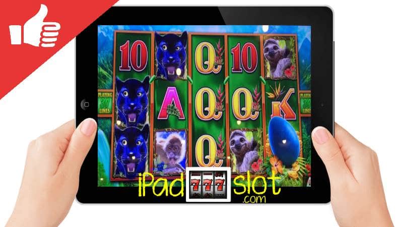 Macaw Money by Aristocrat Free Slots Guide