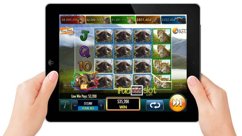 Big 5 Safari Slots by IGT Free Game Guide