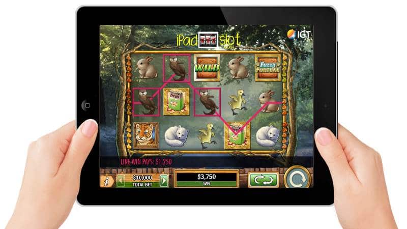 Fuzzy Fortune IGT Slots Game Guide