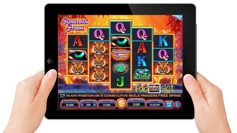 Sumatran Storm Slots Game Guide