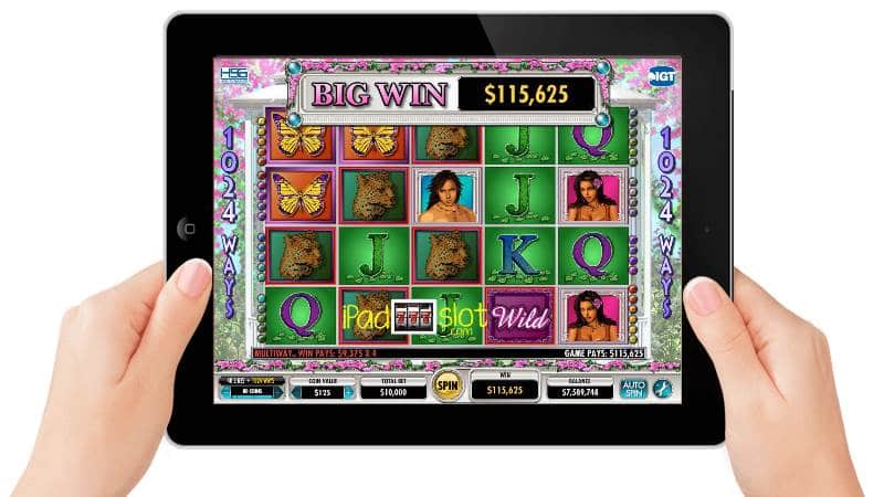 White Orchid IGT Free Slots Game Guide