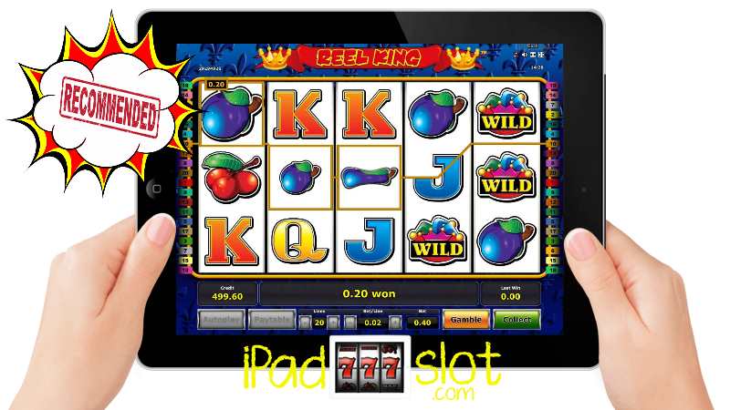 Reel King Novomatic Slots Free App Guide