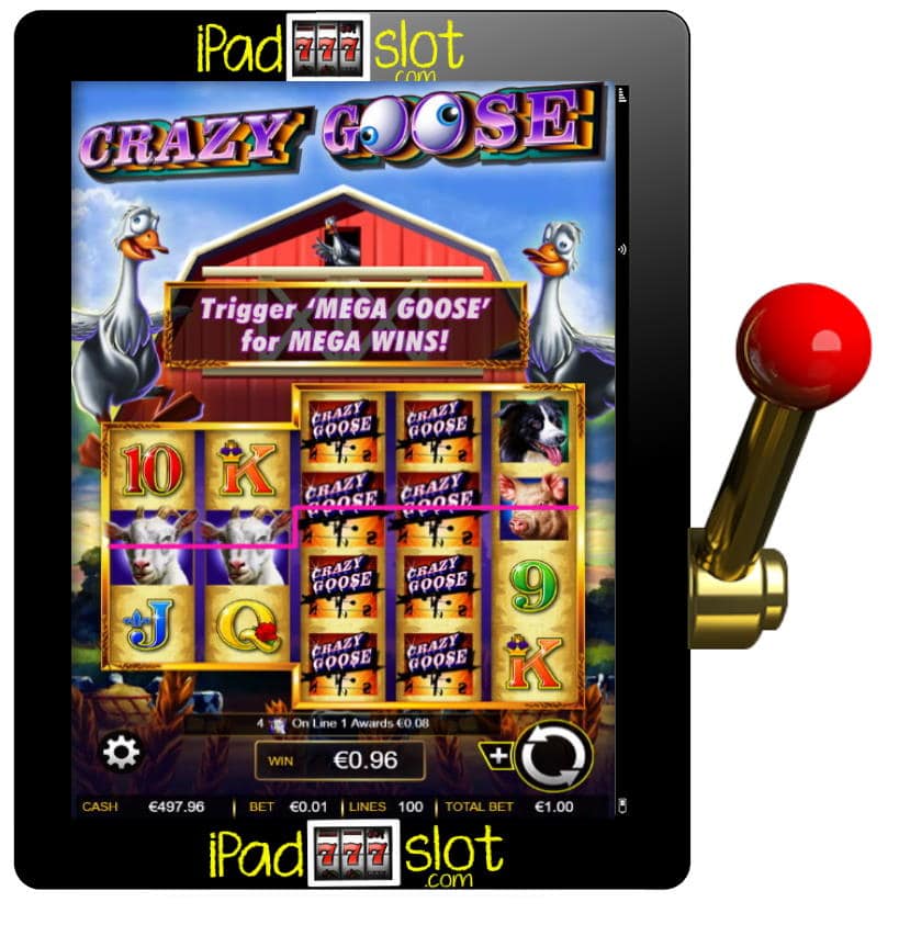 Crazy Goose Free IGT Slot Review