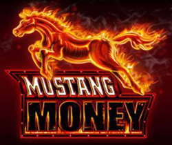 Mustang Money