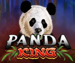 Panda King