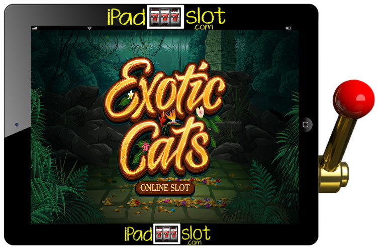 Exotic Cats Microgaming Slot review