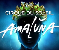 Cirque Du Soleil Amaluna