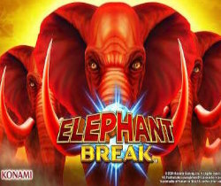 Elephant Break