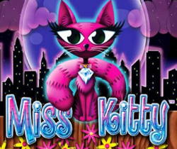 Miss Kitty