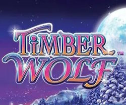 Timber Wolf